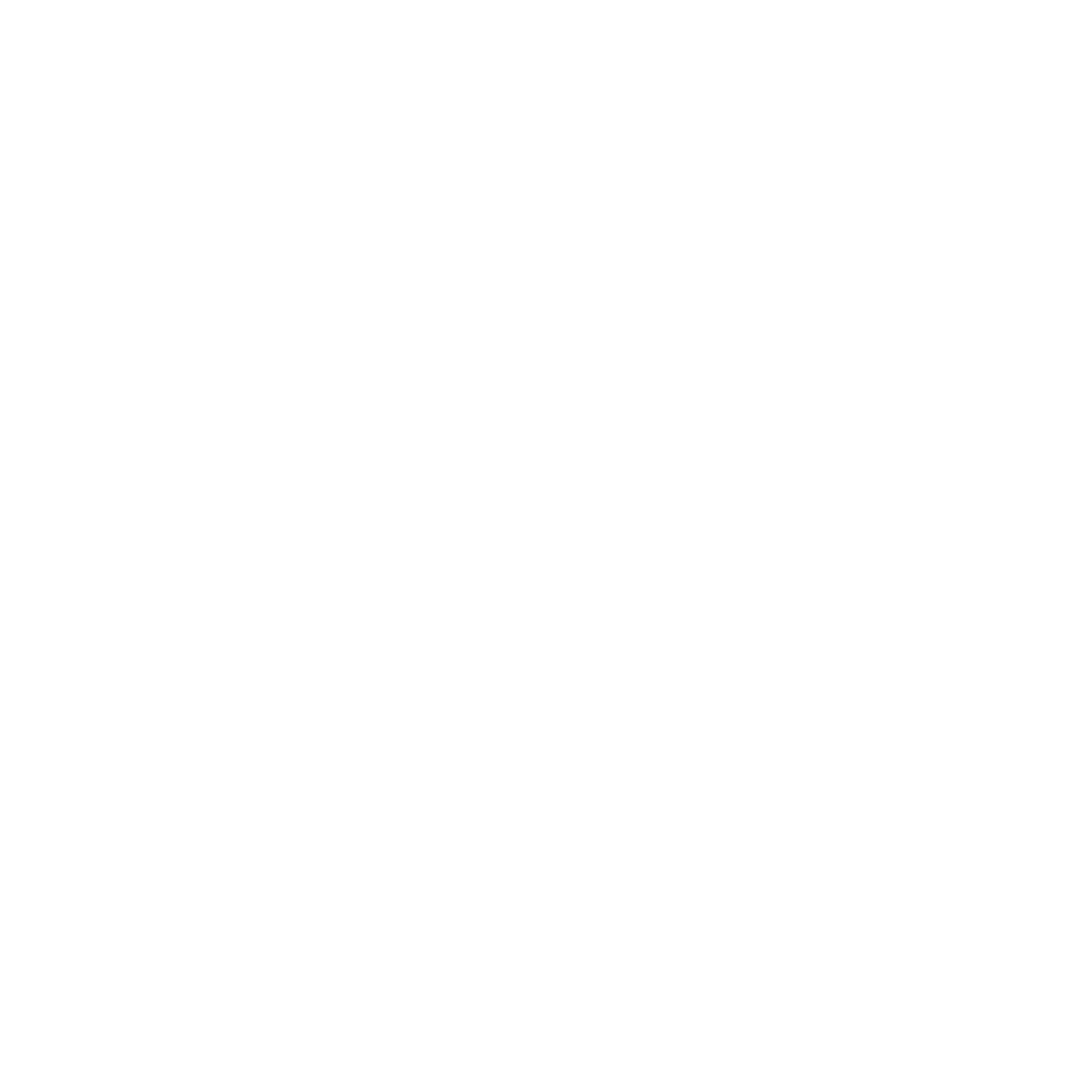 SAFELEC